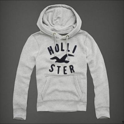 Hollister Men Hoodies-40